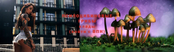 mdpv Алзамай