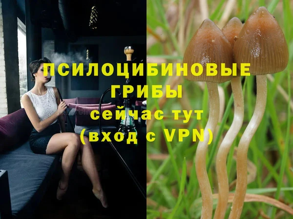 мяу мяу кристалл Алексин