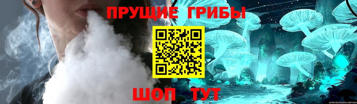 Псилоцибиновые грибы Cubensis Ипатово